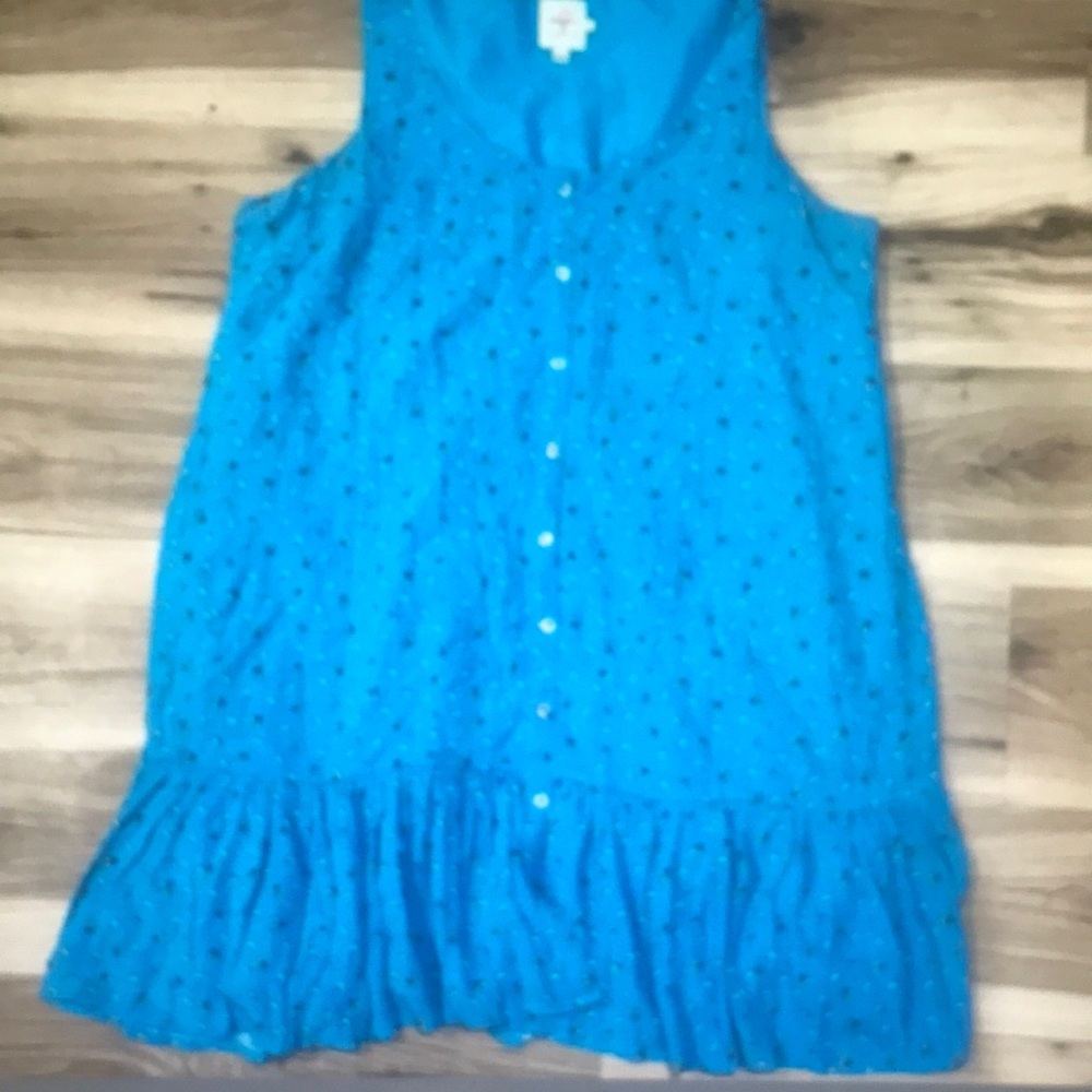 Blue Sleeveless Button-Down Dress